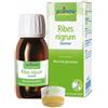Ribes Nigrum Macerato Glicerico 60ml Int