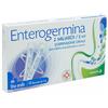 2 Miliardi/5 Ml Sospensione Orale 10 Flaconcini 5 Ml