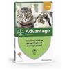 Advantage*4pip 0,4ml Spoton