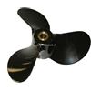Evinrude - Johnson Elica Evinrude Johnson BRP BRP-Evinrude-Johnson