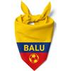 Pictogogo Bandana Personalizzata per Cane con Nome - Foulard per Cani Personalizzabile con Testo e Simbolo - Lavabile - Prodotto e Personalizzato in Europa (Colombia, S)