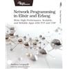 Pragmatic Bookshelf Network Programming in Elixir and Erlang: Write High-performance, Scalable and Reliable Apps With Tcp and Udp