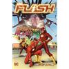 DC Comics The Flash Vol. 18: The Search For Barry Allen