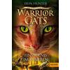 Beltz Verlagsgruppe Warrior Cats7/04. Das gebrochene Gesetz - Finsternis im Inneren: Staffel VII, Band 4