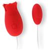 FERRARI HUB SRL ARTEMIDE