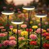 Gaethra Luci Solari da Giardino 4 Pezzi Luci Solari Esterno Bianco Caldo lampada da giardino solare da esterno IP65 Impermeabie 1000mAh con Luci da giardino extra luminose da 34 lumen per Cortile Vialetto