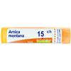 Boiron Arnica 15 Ch Granuli