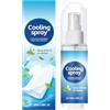 Generico Spray Rinfrescante Corpo Mentolo | Spray Refrigerante Estate | Raffreddamento Istantaneo, Cool Per L'estate Per Esterni, Vestiti, Prevenzione, 50ml
