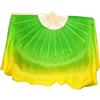 SDIUAKBV Ventagli di Danza Ventre Ventaglio di Danza Vera Seta 86 Cm Velo Pieghevole Sfumato Dipinto A Mano del Ventre Folk Ballerino Quadrato per la Performance(Color 6,1pcs Right 1pcs Left)