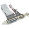 Leeadwaey Pin COM seriale DB9 con cavo parallelo di Pin LPT DB25 con il sostegno dell'intestazione della scanalatura di PCI