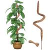 Wekuch 120 cm Palo di Muschio Pieghevole per Monstera e Piante Rampicanti - Supporto per Piante da Interno e Giardino con Struttura Resistente