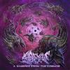 Devil's Reef A Whisper From the Cosmos (CD)