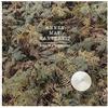 AnnenMayKantereit Alles Nix Konkretes (CD)