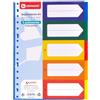 Centauro - Separatori raccoglitore 4 anelli a4 Polipropilene, 5 posizioni, 5 colori vivaci, alta resistenza, impermeabilità e durata, perfetto per studenti e avversari