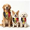 Generico Bandana Cane Personalizzata Per Mondiali 2026, Bandana Per Cani Con Nome E Numero Stile Calcio, 18 Modelli Di Bandiere，Per Cani Piccoli Medi Grandi, Amanti Dei Cani (Belgio)