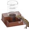 Generico Di Acqua Per Rettili | Vassoio alimentatore automatico rettili - Erogatore Acqua Automatico Per Lucertole,per serpente, lucertola, drago barbuto, casa, interno, giardino, cortile posteriore, terrario