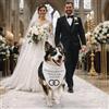 Pictogogo Bandana Personalizzata per Cane con Nome - Foulard per Cani Personalizzabile con Testo e Simbolo - Lavabile - Prodotto e Personalizzato in Europa (Matrimonio, S)