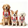 Generico Bandana Cane Personalizzata Per Mondiali 2026, Bandana Per Cani Con Nome E Numero Stile Calcio, 18 Modelli Di Bandiere，Per Cani Piccoli Medi Grandi, Amanti Dei Cani (Canada)