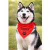 Pictogogo Bandana Personalizzata per Cane con Nome - Foulard per Cani Personalizzabile con Testo e Simbolo - Lavabile - Prodotto e Personalizzato in Europa (Tinta unita, S)