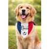 Pictogogo Bandana Personalizzata per Cane con Nome - Foulard per Cani Personalizzabile con Testo e Simbolo - Lavabile - Prodotto e Personalizzato in Europa (Bandiera francese, S)