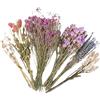 Generico Fiori Secchi Lettiera per Criceti - Decorazione Naturale per Gabbia di Cincillà E Porcellino D', Mix di Erbe E Petali Raccolti A Mano, Snack E Arredo per Habitat Riccio E, 80g, 25cm