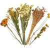 Generico Fiori Secchi Lettiera per Criceti - Decorazione Naturale per Gabbia di Cincillà E Porcellino D', Mix di Erbe E Petali Raccolti A Mano, Snack E Arredo per Habitat Riccio E, 80g, 25cm