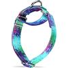 Dazzber Martingale, Collari per cani colorati con motivo dipinto a olio, anti-tiro, morbido come la seta, per cani di taglia media e grande (XS, larghezza 1,5 cm, oasi ecologica)