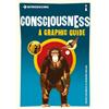 Icon Books Introducing Consciousness: A Graphic Guide