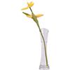 Culinavog Vaso da fiori piccolo da 20 cm, alto e sottile, in vetro trasparente, a stelo singolo, Vaso Piccolo Decorativo per decorazione domestica, soggiorno, ufficio e centrotavola