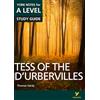 Pearson Education Tess of the D'Urbervilles: York Notes A-level English Literature Study Guide - for 2027, 2028 exams: York Notes Series