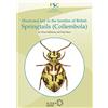 Field Studies Council Illustrated Key to the Families of British Springtails (Collembola)