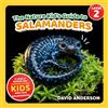 LP Media Inc The Nature Kid's Guide to Salamanders: A Level 2 Reader for Curious Young Kids Who Love Salamanders!