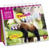 Groh Mini-Wochenkalender 2026: Tierisch gechillt!: Tischkalender zum Aufstellen mit Wochenkalendarium | Gute Laune Sprüche gepaart mit süßen Tierfotos