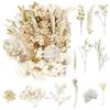 RUGBOL Fiori secchi, Fiori pressati Artigianato per fai da te Arti Resina Scrapbooking Creazione di gioielli Decorazioni floreali (Viola)