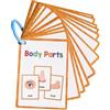 Generico Schede flash per parti del corpo, Schede flash per parti del corpo, Scheda tascabile per parti del corpo di Flash Card inglese da 15 pezzi, Parole del vocabolario Flashcard per l'apprendimento educati