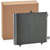 RIDEX 448C0036 Condensatore climatizzatore con essiccatore Compatibilità con PEUGEOT 207 WA, WC