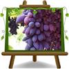 EURO PLANTS VIVAI Vite Pizzutello Nero Pianta da Frutto Antico età 2 anni | Antica varietà di uva da tavola - Vaso 15 cm Altezza 120~130 cm