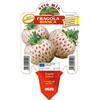 le Georgiche Vivai le Georgiche - Pianta vera di Fragola Unifera Bianca Ananas Pineberry Fragaria vesca 'Pineberry' Fragola ananas, Pineberry - vaso Ø 10 cm