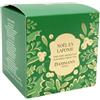 Dammann Frères Dammann Christmas Tea Green - Natale in Lapponia - Tè verde aromatizzato alla cannella, mirtillo rosso e arancia - 25 bustine di cristallo