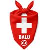 Pictogogo Bandana Personalizzata per Cane con Nome - Foulard per Cani Personalizzabile con Testo e Simbolo - Lavabile - Prodotto e Personalizzato in Europa (Svizzera, S)