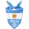 Pictogogo Bandana Personalizzata per Cane con Nome - Foulard per Cani Personalizzabile con Testo e Simbolo - Lavabile - Prodotto e Personalizzato in Europa (Argentina, S)