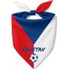 Pictogogo Bandana Personalizzata per Cane con Nome - Foulard per Cani Personalizzabile con Testo e Simbolo - Lavabile - Prodotto e Personalizzato in Europa (Repubblica Ceca, S)
