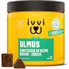 ivvi Ulmus per Cani - Snack Morbidi con Corteccia di Olmo, Zucca e Semi di Lino - con 30% di Pollo - per Cani Sensibili e Benessere Digestivo - 270 g, 60 Snack