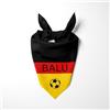 Pictogogo Bandana Personalizzata per Cane con Nome - Foulard per Cani Personalizzabile con Testo e Simbolo - Lavabile - Prodotto e Personalizzato in Europa (Germania, S)