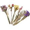 Generico Fiori Secchi Lettiera per Criceti - Decorazione Naturale per Gabbia di Cincillà E Porcellino D', Mix di Erbe E Petali Raccolti A Mano, Snack E Arredo per Habitat Riccio E, 80g, 25cm
