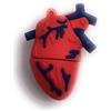 Onwomania Heart Anatomy Center Organo Rosso Chiavetta USB USB Flash Drive 32 GB Usb 3.0