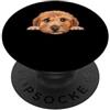Poodle Puppy Lover PS Ritratto del cane del viso del primo piano del cucciolo di barboncino del bambino PopSockets PopGrip Adesivo