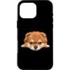 Pomeranian Puppy Lover PS Custodia per iPhone 16 Pro Max Ritratto del cane del viso del primo piano del cucciolo di Pomerania
