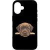 Labrador Retriever Puppy Lover PS Custodia per iPhone 16 Ritratto del viso del primo piano del cucciolo di Labrador Retriever nero del bambino