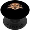 Great Dane Puppy Lover PS Ritratto del cane del viso del primo piano del cucciolo di alano PopSockets PopGrip Adesivo